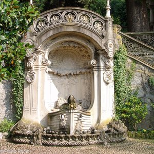 big size photo in the gallery