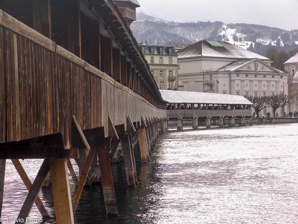 photo in the gallery