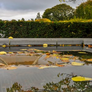 big size photo in the gallery