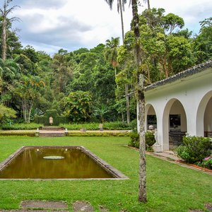 big size photo in the gallery