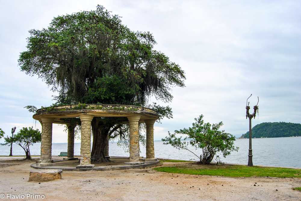 photo in the gallery