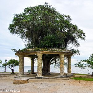 big size photo in the gallery