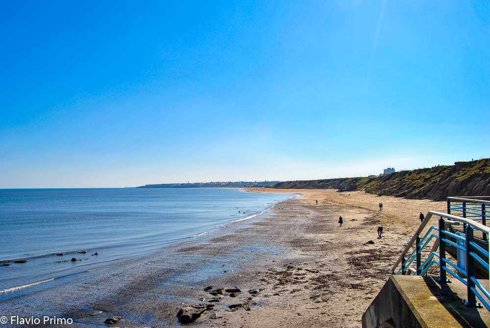 photo in the gallery