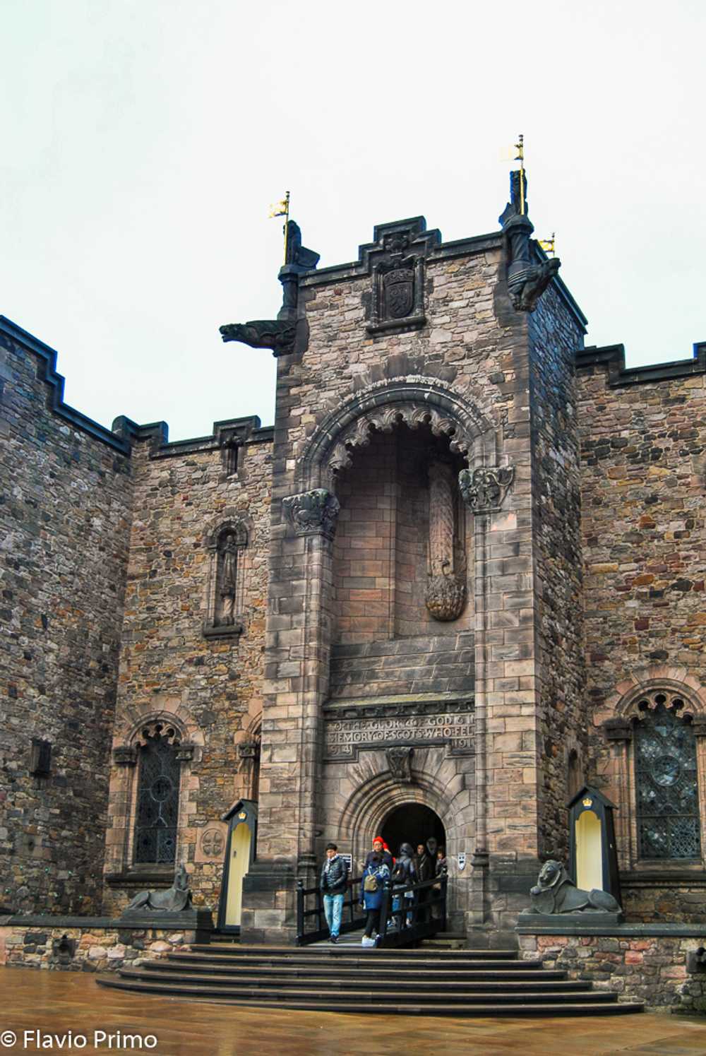 photo in the gallery