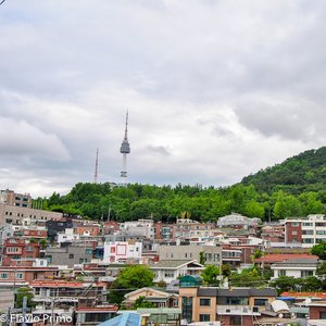 big size photo in the gallery