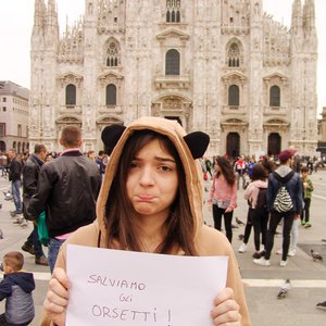 big size photo in the gallery