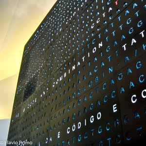 big size photo in the gallery