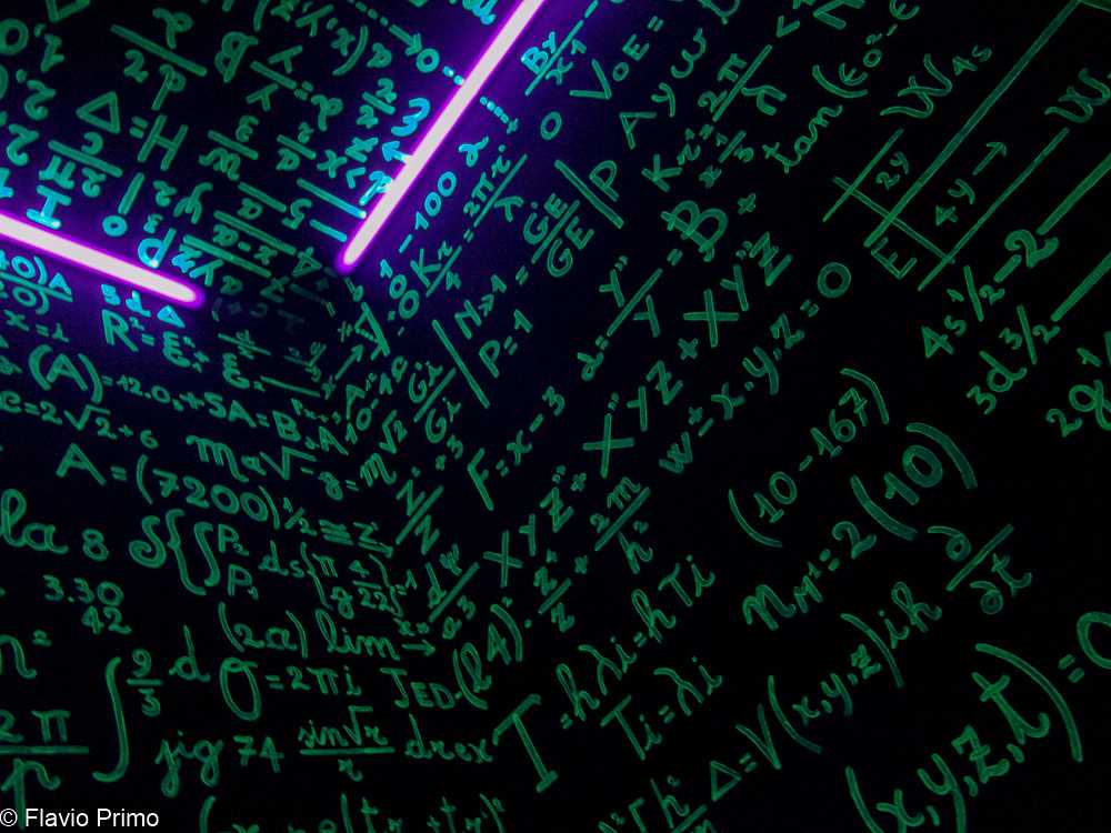 photo in the gallery