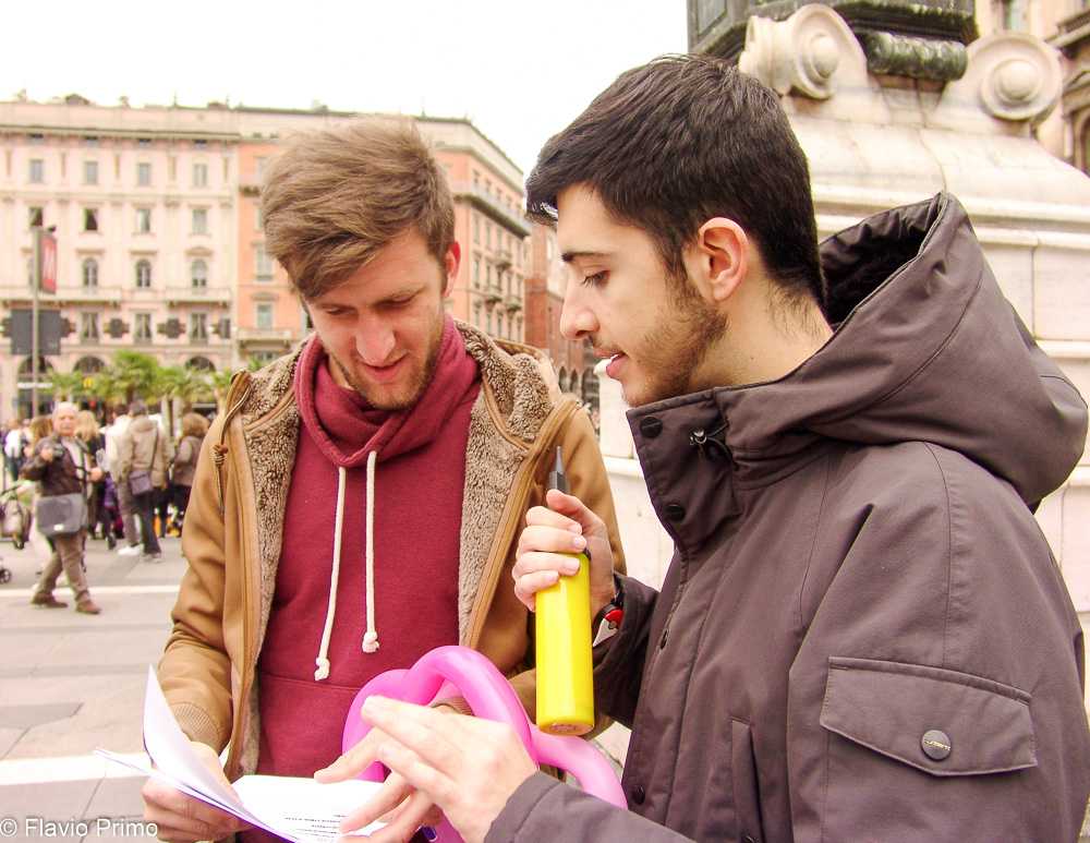 photo in the gallery