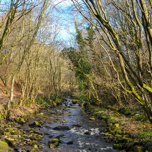 big size photo in the gallery