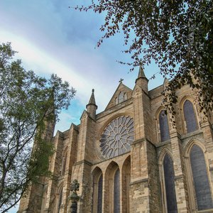 big size photo in the gallery