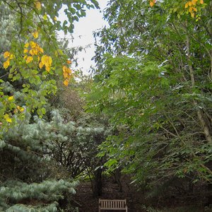 big size photo in the gallery