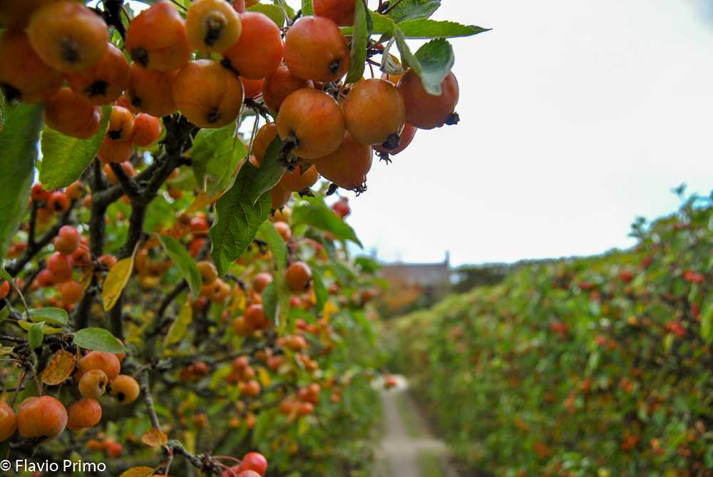 photo in the gallery