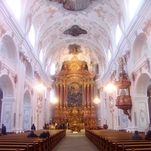 big size photo in the gallery