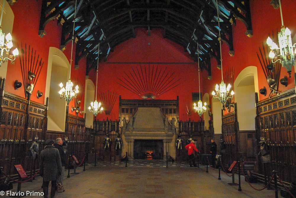 photo in the gallery