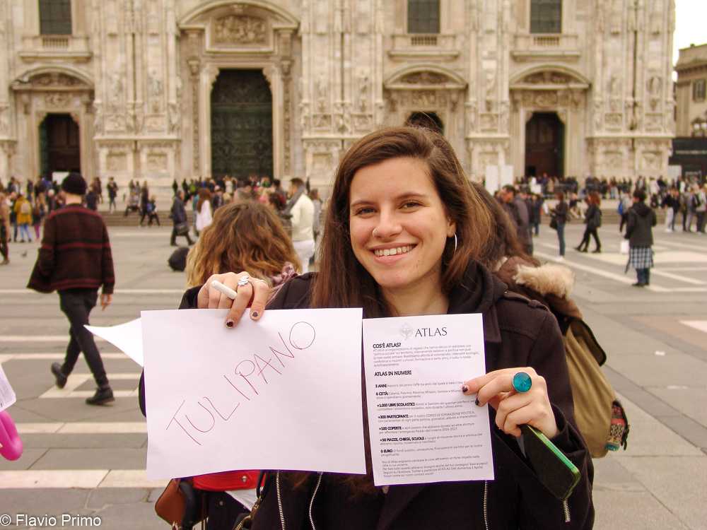 photo in the gallery