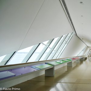 big size photo in the gallery