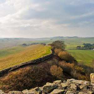 big size photo in the gallery