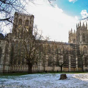 big size photo in the gallery