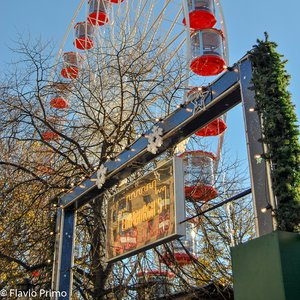 big size photo in the gallery