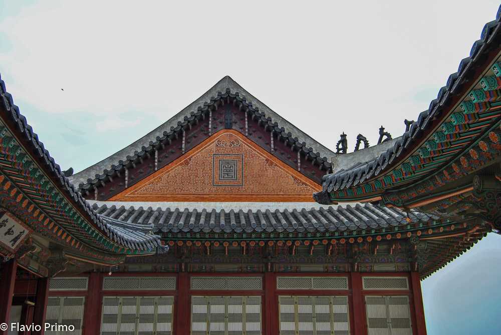 photo in the gallery