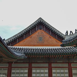 big size photo in the gallery