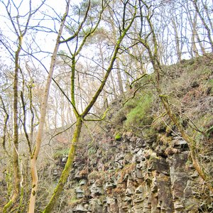 big size photo in the gallery