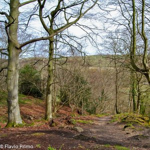 big size photo in the gallery