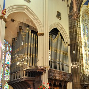 big size photo in the gallery