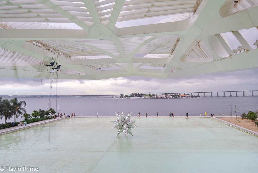 photo in the gallery