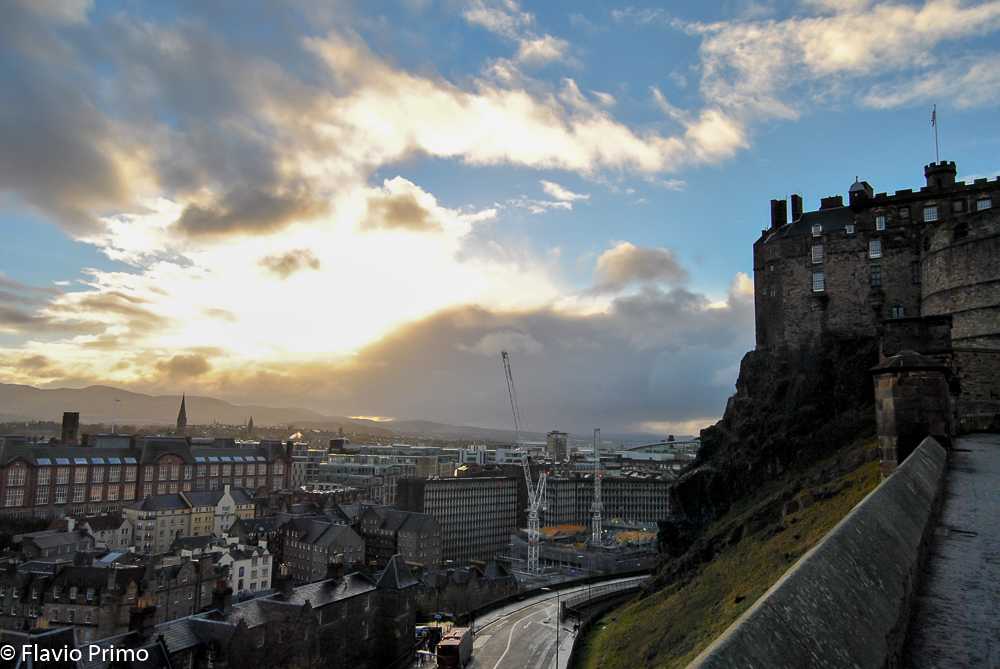 photo in the gallery