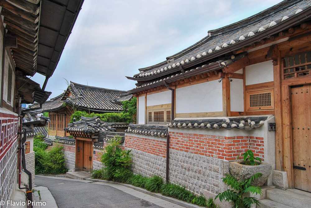 photo in the gallery