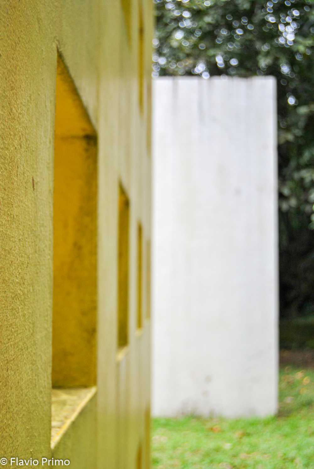 photo in the gallery