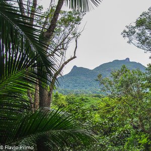 big size photo in the gallery