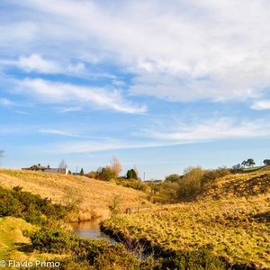 big size photo in the gallery