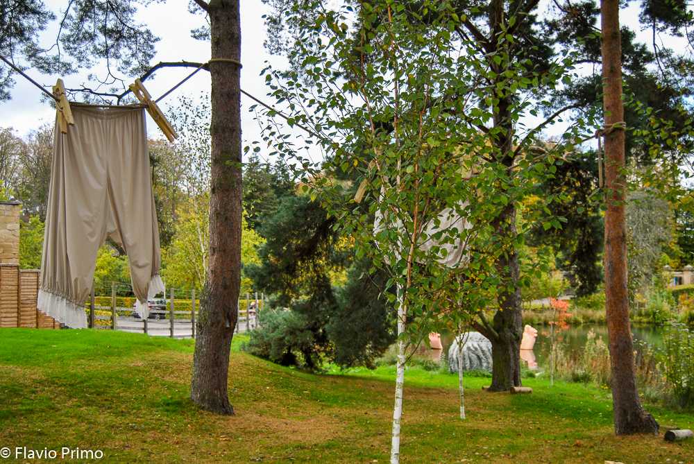 photo in the gallery