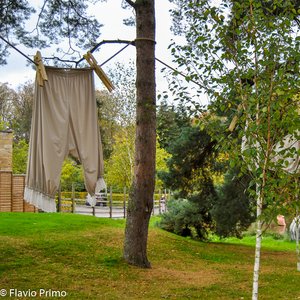 big size photo in the gallery