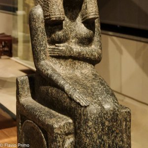 big size photo in the gallery