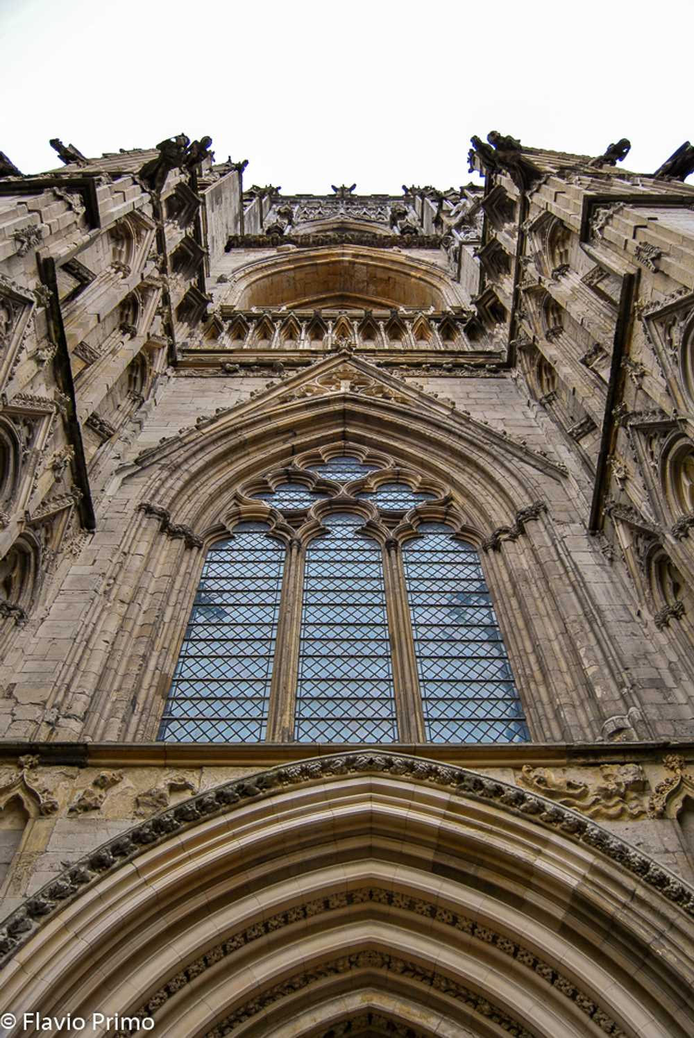 photo in the gallery