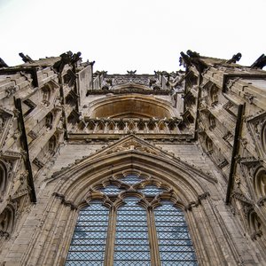 big size photo in the gallery