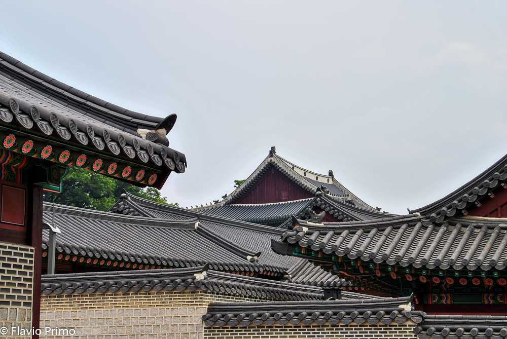 photo in the gallery