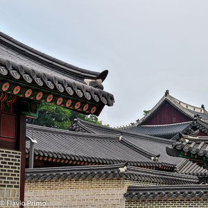 big size photo in the gallery