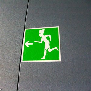 big size photo in the gallery