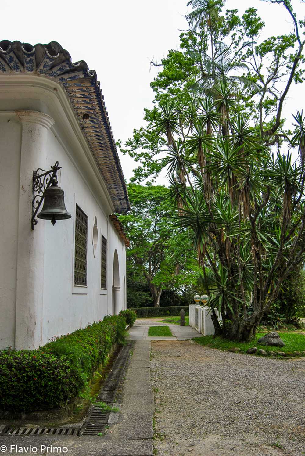 photo in the gallery