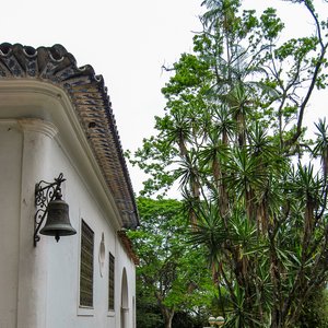 big size photo in the gallery