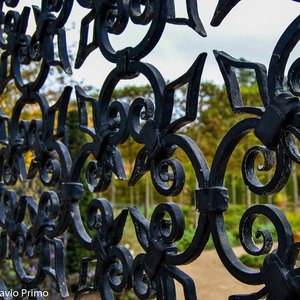 big size photo in the gallery