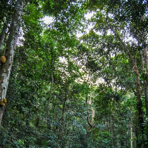 big size photo in the gallery