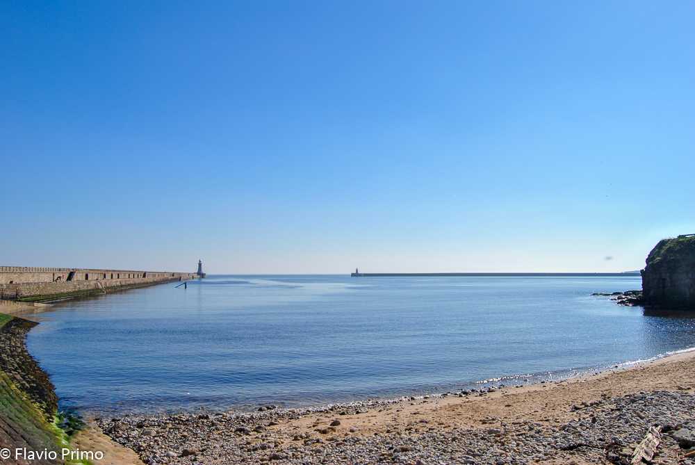 photo in the gallery