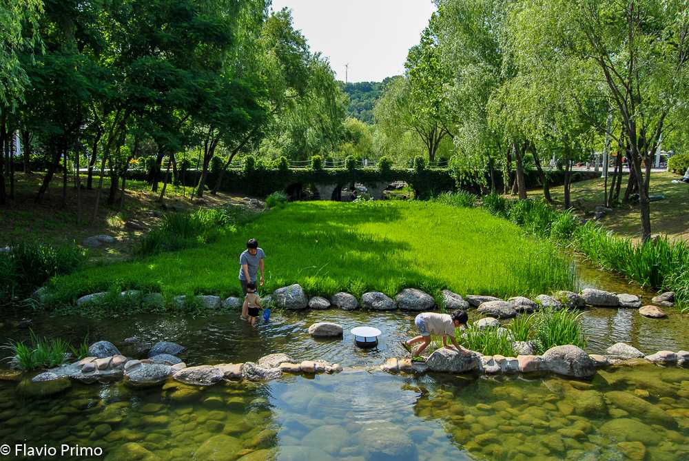 photo in the gallery