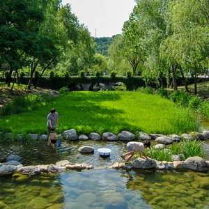 big size photo in the gallery